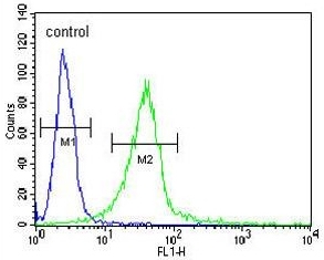 Flow cytometry testing of human NCI-H460 cells with GIT1 antibody; Blue=isotype control, Green= GIT1 antibody.