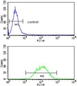 Flow cytometry testing of human Ramos cells with Pericentriolar material 1 protein antibody; Blue=isotype control, Green= Pericentriolar material 1 protein antibody.