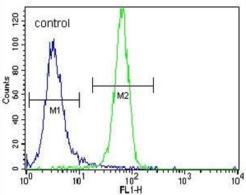 Beta-Nerve Growth Factor Antibody NCI-H460 FACS. Flow cytometry analysis of human NCI-H460 cells using Beta-Nerve Growth Factor Antibody / Neurotrophic Signaling Antibody. The beta-NGF antibody population (green) demonstrates a clear positive fluorescence shift relative to the isotype control (blue), supporting detection of beta-NGF / mature Nerve growth factor-associated expression in human lung carcinoma cells. The observed signal pattern is consistent with neurotrophin-related signaling activity in cultured tumor cells.