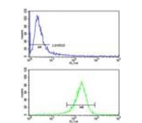 Flow cytometry testing of human ZR-75-1 cells with Ataxin 3 antibody; Blue=isotype control, Green= Ataxin 3 antibody.