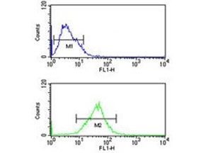 Flow cytometry testing of human MCF7 cells with Sm-D3 antibody; Blue=isotype control, Green= Sm-D3 antibody.