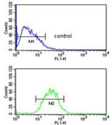 Flow cytometry testing of human HepG2 cells with PRPF38A antibody; Blue=isotype control, Green= PRPF38A antibody.