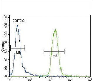 Flow cytometry testing of fixed and permeabilized human CEM cells with CYP3A4 antibody; Blue=isotype control, Green= CYP3A4 antibody.
