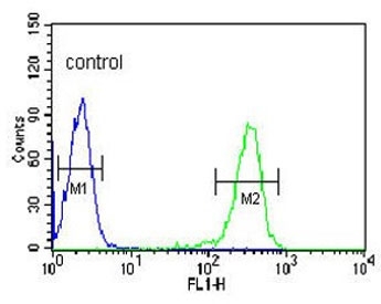 IgJ Antibody HL60 FACS. Flow cytometry analysis of fixed and permeabilized human HL60 cells using IgJ antibody demonstrates a clear rightward shift in fluorescence intensity relative to the isotype control, consistent with intracellular detection of JCHAIN / IGJ, an immunoglobulin-associated protein linked to plasma cell differentiation and antibody secretion pathways; blue histogram represents isotype control and green histogram represents IgJ antibody staining.