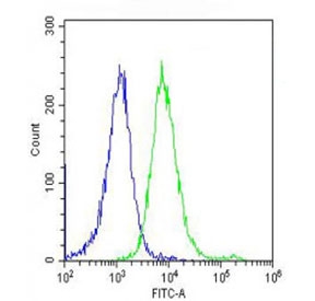 MAPE Antibody FACS. Flow cytometry testing of fixed and permeabilized human HeLa cells with MAPE antibody; Blue=isotype control, Green= MAPE antibody.