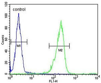 Flow cytometry testing of human WiDr cells with IL-31 antibody; Blue=isotype control, Green= IL-31 antibody.