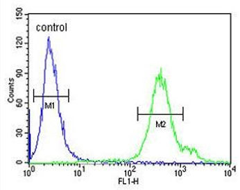 Flow cytometry testing of human HEK293 cells with REG3A antibody; Blue=isotype control, Green= REG3A antibody.