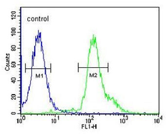 Flow cytometry testing of human HEK293 cells with RSPO2 antibody; Blue=isotype control, Green= RSPO2 antibody.