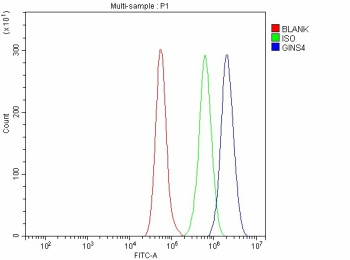 Flow Cytometry analysis of cells using anti-GINS4 antibody. Overlay histogram showing cells stained with (Blue line). To facilitate intracellular staining, cells were fixed with 4% paraformaldehyde and permeabilized with permeabilization buffer. The cells were blocked with 10% normal goat serum. And then incubated with rabbit anti-GINS4 antibody (1 ug/million cells) for 30 min at 20oC. DyLight 488 conjugated goat anti-rabbit IgG (5-10 ug/million cells) was used as secondary antibody for 30 minutes at 20oC. Isotype control antibody (Green line) was rabbit IgG (1 ug/million cells) used under the same conditions. Unlabelled sample without incubation with primary antibody and secondary antibody (Red line) was used as a blank control.