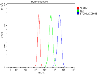 Flow Cytometry analysis of Jurkat cells using anti-STOML2 antibody. Overlay histogram showing Jurkat cells stained with (Blue line). The cells were fixed with 4% paraformaldehyde and blocked with 10% normal goat serum. And then incubated with rabbit anti-STOML2 antibody (1 ug/million cells) for 30 min at 20oC. DyLight 488 conjugated goat anti-rabbit IgG (5-10 ug/million cells) was used as secondary antibody for 30 minutes at 20oC. Isotype control antibody (Green line) was rabbit IgG (1 ug/million cells) used under the same conditions. Unlabelled sample without incubation with primary antibody and secondary antibody (Red line) was used as a blank control.