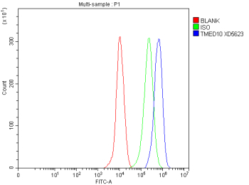 Flow Cytometry analysis of THP-1 cells using anti-TMED10 antibody. Overlay histogram showing THP-1 cells stained with (Blue line). The cells were fixed with 4% paraformaldehyde and blocked with 10% normal goat serum. And then incubated with rabbit anti-TMED10 antibody (1 ug/million cells) for 30 min at 20oC. DyLight 488 conjugated goat anti-rabbit IgG (5-10 ug/million cells) was used as secondary antibody for 30 minutes at 20oC. Isotype control antibody (Green line) was rabbit IgG (1 ug/million cells) used under the same conditions. Unlabelled sample without incubation with primary antibody and secondary antibody (Red line) was used as a blank control.