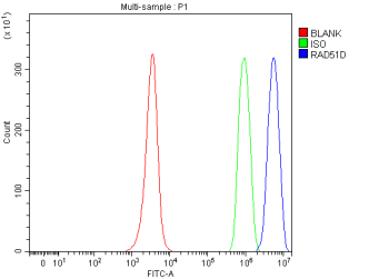Flow Cytometry analysis of JK cells using anti-RAD51D antibody. Overlay histogram showing JK cells stained with (Blue line). To facilitate intracellular staining, cells were fixed with 4% paraformaldehyde and permeabilized with permeabilization buffer. The cells were blocked with 10% normal goat serum. And then incubated with rabbit anti-RAD51D antibody (1 ug/million cells) for 30 min at 20oC. DyLight 488 conjugated goat anti-rabbit IgG (5-10 ug/million cells) was used as secondary antibody for 30 minutes at 20oC. Isotype control antibody (Green line) was rabbit IgG (1 ug/million cells) used under the same conditions. Unlabelled sample (Red line) was also used as a control.