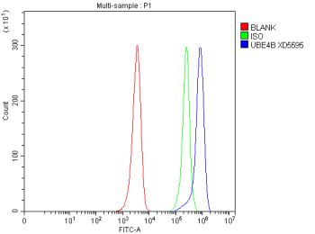 Flow Cytometry analysis of HEL cells using anti-UBE4B antibody. Overlay histogram showing HEL cells stained with (Blue line). To facilitate intracellular staining, cells were fixed with 4% paraformaldehyde and permeabilized with permeabilization buffer. The cells were blocked with 10% normal goat serum. And then incubated with rabbit anti-UBE4B antibody (1 ug/million cells) for 30 min at 20oC. DyLight 488 conjugated goat anti-rabbit IgG (5-10 ug/million cells) was used as secondary antibody for 30 minutes at 20oC. Isotype control antibody (Green line) was rabbit IgG (1 ug/million cells) used under the same conditions. Unlabelled sample without incubation with primary antibody and secondary antibody (Red line) was used as a blank control.