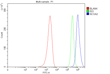 Flow Cytometry analysis of MCF-7 cells using anti-NCOA2 antibody. Overlay histogram showing MCF-7 cells stained with (Blue line). To facilitate intracellular staining, cells were fixed with 4% paraformaldehyde and permeabilized with permeabilization buffer. The cells were blocked with 10% normal goat serum. And then incubated with rabbit anti-NCOA2 antibody (1 ug/million cells) for 30 min at 20oC. DyLight 488 conjugated goat anti-rabbit IgG (5-10 ug/million cells) was used as secondary antibody for 30 minutes at 20oC. Isotype control antibody (Green line) was rabbit IgG (1 ug/million cells) used under the same conditions. Unlabelled sample without incubation with primary antibody and secondary antibody (Red line) was used as a blank control.