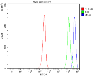 Flow Cytometry analysis of JK cells using anti-MIOX antibody. Overlay histogram showing JK cells stained with (Blue line). To facilitate intracellular staining, cells were fixed with 4% paraformaldehyde and permeabilized with permeabilization buffer. The cells were blocked with 10% normal goat serum. And then incubated with rabbit anti-MIOX antibody (1 ug/million cells) for 30 min at 20oC. DyLight 488 conjugated goat anti-rabbit IgG (5-10 ug/million cells) was used as secondary antibody for 30 minutes at 20oC. Isotype control antibody (Green line) was rabbit IgG (1 ug/million cells) used under the same conditions. Unlabelled sample (Red line) was also used as a control.