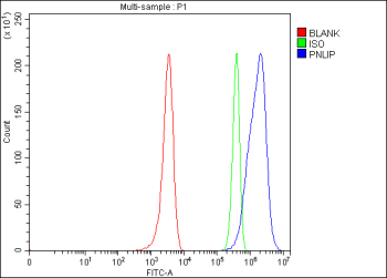 Flow Cytometry analysis of U251 cells using anti-PNLIP antibody. Overlay histogram showing U251 cells stained with (Blue line). The cells were fixed with 4% paraformaldehyde and blocked with 10% normal goat serum. And then incubated with rabbit anti-PNLIP antibody (1 ug/million cells) for 30 min at 20oC. DyLight 488 conjugated goat anti-rabbit IgG (5-10 ug/million cells) was used as secondary antibody for 30 minutes at 20oC. Isotype control antibody (Green line) was rabbit IgG (1 ug/million cells) used under the same conditions. Unlabelled sample (Red line) was also used as a control.