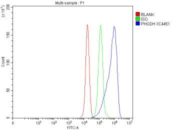 Flow Cytometry analysis of PC-3 cells using anti-PHGDH antibody. Overlay histogram showing PC-3 cells stained with (Blue line). To facilitate intracellular staining, cells were fixed with 4% paraformaldehyde and permeabilized with permeabilization buffer. The cells were blocked with 10% normal goat serum. And then incubated with rabbit anti-PHGDH antibody (1 ug/million cells) for 30 min at 20oC. DyLight 488 conjugated goat anti-rabbit IgG (5-10 ug/million cells) was used as secondary antibody for 30 minutes at 20oC. Isotype control antibody (Green line) was rabbit IgG (1 ug/million cells) used under the same conditions. Unlabelled sample without incubation with primary antibody and secondary antibody (Red line) was used as a blank control.