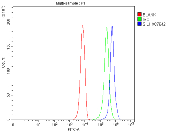 Flow Cytometry analysis of HepG2 cells using anti-SIL1 antibody. Overlay histogram showing HepG2 cells stained with (Blue line). To facilitate intracellular staining, cells were fixed with 4% paraformaldehyde and permeabilized with permeabilization buffer. The cells were blocked with 10% normal goat serum. And then incubated with rabbit anti-SIL1 antibody (1 ug/million cells) for 30 min at 20oC. DyLight 488 conjugated goat anti-rabbit IgG (5-10 ug/million cells) was used as secondary antibody for 30 minutes at 20oC. Isotype control antibody (Green line) was rabbit IgG (1 ug/million cells) used under the same conditions. Unlabelled sample without incubation with primary antibody and secondary antibody (Red line) was used as a blank control.