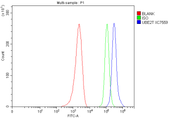Flow Cytometry analysis of MCF-7 cells using anti-UBE2T antibody. Overlay histogram showing MCF-7 cells stained with (Blue line). To facilitate intracellular staining, cells were fixed with 4% paraformaldehyde and permeabilized with permeabilization buffer. The cells were blocked with 10% normal goat serum. And then incubated with rabbit anti-UBE2T antibody (1 ug/million cells) for 30 min at 20oC. DyLight 488 conjugated goat anti-rabbit IgG (5-10 ug/million cells) was used as secondary antibody for 30 minutes at 20oC. Isotype control antibody (Green line) was rabbit IgG (1 ug/million cells) used under the same conditions. Unlabelled sample without incubation with primary antibody and secondary antibody (Red line) was used as a blank control.