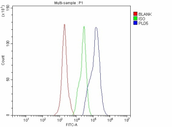 Flow Cytometry analysis of SH-SY5Y cells using anti-PLD5 antibody. Overlay histogram showing SH-SY5Y cells stained with (Blue line). The cells were fixed with 4% paraformaldehyde and blocked with 10% normal goat serum. And then incubated with rabbit anti-PLD5 antibody (1 ug/million cells) for 30 min at 20oC. DyLight 488 conjugated goat anti-rabbit IgG (5-10 ug/million cells) was used as secondary antibody for 30 minutes at 20oC. Isotype control antibody (Green line) was rabbit IgG (1 ug/million cells) used under the same conditions. Unlabelled sample without incubation with primary antibody and secondary antibody (Red line) was used as a blank control.