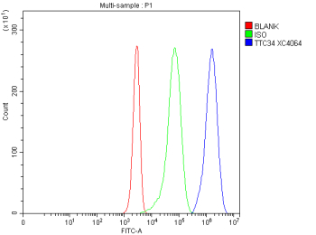 Flow Cytometry analysis of Jurkat cells using anti-TTC34 antibody. Overlay histogram showing Jurkat cells stained with (Blue line). The cells were fixed with 4% paraformaldehyde and blocked with 10% normal goat serum. And then incubated with rabbit anti-TTC34 antibody (1 ug/million cells) for 30 min at 20oC. DyLight 488 conjugated goat anti-rabbit IgG (5-10 ug/million cells) was used as secondary antibody for 30 minutes at 20oC. Isotype control antibody (Green line) was rabbit IgG (1 ug/million cells) used under the same conditions. Unlabelled sample without incubation with primary antibody and secondary antibody (Red line) was used as a blank control.