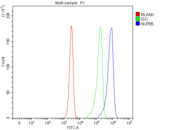 Flow Cytometry analysis of Jurkat cells using anti-NUP85 antibody. Overlay histogram showing Jurkat cells stained with (Blue line). To facilitate intracellular staining, cells were fixed with 4% paraformaldehyde and permeabilized with permeabilization buffer. The cells were blocked with 10% normal goat serum. And then incubated with rabbit anti-NUP85 antibody (1 ug/million cells) for 30 min at 20oC. DyLight 488 conjugated goat anti-rabbit IgG (5-10 ug/million cells) was used as secondary antibody for 30 minutes at 20oC. Isotype control antibody (Green line) was rabbit IgG (1 ug/million cells) used under the same conditions. Unlabelled sample without incubation with primary antibody and secondary antibody (Red line) was used as a blank control.