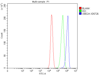 Flow Cytometry analysis of NIH3T3 cells using anti-UBE2A/UBE2B antibody. Overlay histogram showing NIH3T3 cells stained with (Blue line). To facilitate intracellular staining, cells were fixed with 4% paraformaldehyde and permeabilized with permeabilization buffer. The cells were blocked with 10% normal goat serum. And then incubated with rabbit anti-UBE2A/UBE2B antibody (1 ug/million cells) for 30 min at 20oC. DyLight 488 conjugated goat anti-rabbit IgG (5-10 ug/million cells) was used as secondary antibody for 30 minutes at 20oC. Isotype control antibody (Green line) was rabbit IgG (1 ug/million cells) used under the same conditions. Unlabelled sample without incubation with primary antibody and secondary antibody (Red line) was used as a blank control.
