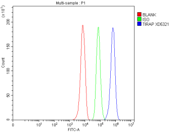Flow Cytometry analysis of HepG2 cells using anti-TIRAP antibody. Overlay histogram showing HepG2 cells stained with (Blue line). The cells were fixed with 4% paraformaldehyde and blocked with 10% normal goat serum. And then incubated with rabbit anti-TIRAP antibody (1 ug/million cells) for 30 min at 20oC. DyLight 488 conjugated goat anti-rabbit IgG (5-10 ug/million cells) was used as secondary antibody for 30 minutes at 20oC. Isotype control antibody (Green line) was rabbit IgG (1 ug/million cells) used under the same conditions. Unlabelled sample without incubation with primary antibody and secondary antibody (Red line) was used as a blank control.