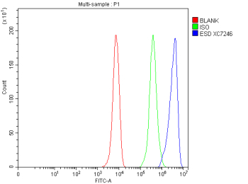 Flow Cytometry analysis of HepG2 cells using anti-ESD antibody. Overlay histogram showing HepG2 cells stained with (Blue line). To facilitate intracellular staining, cells were fixed with 4% paraformaldehyde and permeabilized with permeabilization buffer. The cells were blocked with 10% normal goat serum. And then incubated with rabbit anti-ESD antibody (1 ug/million cells) for 30 min at 20oC. DyLight 488 conjugated goat anti-rabbit IgG (5-10 ug/million cells) was used as secondary antibody for 30 minutes at 20oC. Isotype control antibody (Green line) was rabbit IgG (1 ug/million cells) used under the same conditions. Unlabelled sample without incubation with primary antibody and secondary antibody (Red line) was used as a blank control.