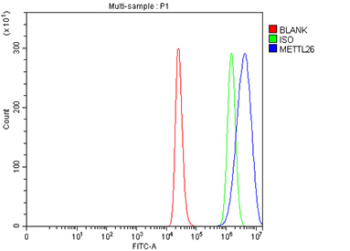 Flow Cytometry analysis of THP-1 cells using anti-METTL26 antibody. Overlay histogram showing THP-1 cells stained with (Blue line). To facilitate intracellular staining, cells were fixed with 4% paraformaldehyde and permeabilized with permeabilization buffer. The cells were blocked with 10% normal goat serum. And then incubated with rabbit anti-METTL26 antibody (1 ug/million cells) for 30 min at 20oC. DyLight 488 conjugated goat anti-rabbit IgG (5-10 ug/million cells) was used as secondary antibody for 30 minutes at 20oC. Isotype control antibody (Green line) was rabbit IgG (1 ug/million cells) used under the same conditions. Unlabelled sample (Red line) was also used as a control.