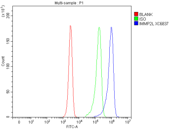 Flow Cytometry analysis of Jurkat cells using anti-IMMP2L antibody. Overlay histogram showing Jurkat cells stained with (Blue line). To facilitate intracellular staining, cells were fixed with 4% paraformaldehyde and permeabilized with permeabilization buffer. The cells were blocked with 10% normal goat serum. And then incubated with rabbit anti-IMMP2L antibody (1 ug/million cells) for 30 min at 20oC. DyLight 488 conjugated goat anti-rabbit IgG (5-10 ug/million cells) was used as secondary antibody for 30 minutes at 20oC. Isotype control antibody (Green line) was rabbit IgG (1 ug/million cells) used under the same conditions. Unlabelled sample without incubation with primary antibody and secondary antibody (Red line) was used as a blank control.