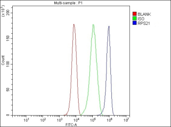 Flow Cytometry analysis of HepG2 cells using anti-RPS21 antibody. Overlay histogram showing HepG2 cells stained with (Blue line). To facilitate intracellular staining, cells were fixed with 4% paraformaldehyde and permeabilized with permeabilization buffer. The cells were blocked with 10% normal goat serum. And then incubated with rabbit anti-RPS21 antibody (1 ug/million cells) for 30 min at 20oC. DyLight 488 conjugated goat anti-rabbit IgG (5-10 ug/million cells) was used as secondary antibody for 30 minutes at 20oC. Isotype control antibody (Green line) was rabbit IgG (1 ug/million cells) used under the same conditions. Unlabelled sample without incubation with primary antibody and secondary antibody (Red line) was used as a blank control.