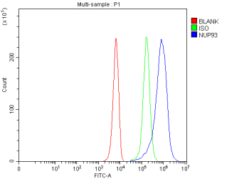 Flow Cytometry analysis of K562 cells using anti-NUP93 antibody. Overlay histogram showing K562 cells stained with (Blue line). To facilitate intracellular staining, cells were fixed with 4% paraformaldehyde and permeabilized with permeabilization buffer. The cells were blocked with 10% normal goat serum. And then incubated with rabbit anti-NUP93 antibody (1 ug/million cells) for 30 min at 20oC. DyLight 488 conjugated goat anti-rabbit IgG (5-10 ug/million cells) was used as secondary antibody for 30 minutes at 20oC. Isotype control antibody (Green line) was rabbit IgG (1 ug/million cells) used under the same conditions. Unlabelled sample without incubation with primary antibody and secondary antibody (Red line) was used as a blank control.