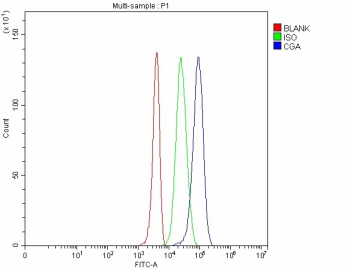CGA Antibody Rabbit Polyclonal FACS. Flow Cytometry analysis of 293T cells using anti-Choriogonadotropin alpha/CGA antibody rabbit polyclonal. Overlay histogram showing 293T cells stained with (Blue line). The cells were fixed with 4% paraformaldehyde and blocked with 10% normal goat serum. And then incubated with rabbit anti-CGA antibody (1 ug/million cells) for 30 min at 20oC. DyLight 488 conjugated goat anti-rabbit IgG (5-10 ug/million cells) was used as secondary antibody for 30 minutes at 20oC. Isotype control antibody (Green line) was rabbit IgG (1 ug/million cells) used under the same conditions. Unlabelled sample without incubation with primary antibody and secondary antibody (Red line) was used as a blank control.