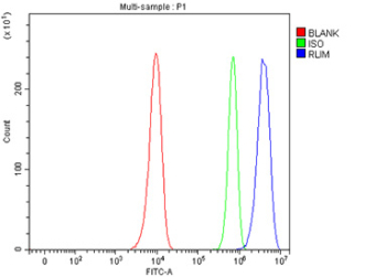 Flow cytometry analysis of fixed and permeabilized human HeLa cells with RLIM antibody at 1ug/million cells (blocked with goat sera); Red=cells alone, Green=isotype control, Blue= RLIM antibody.
