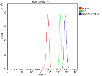 Flow Cytometry analysis of HepG2 cells using anti-SYAP1 antibody. Overlay histogram showing HepG2 cells stained with (Blue line). To facilitate intracellular staining, cells were fixed with 4% paraformaldehyde and permeabilized with permeabilization buffer. The cells were blocked with 10% normal goat serum. And then incubated with rabbit anti-SYAP1 antibody (1 ug/million cells) for 30 min at 20oC. DyLight 488 conjugated goat anti-rabbit IgG (5-10 ug/million cells) was used as secondary antibody for 30 minutes at 20oC. Isotype control antibody (Green line) was rabbit IgG (1 ug/million cells) used under the same conditions. Unlabelled sample without incubation with primary antibody and secondary antibody (Red line) was used as a blank control.
