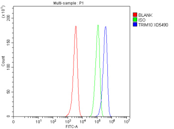 Flow Cytometry analysis of HEL cells using anti-TRIM10 antibody. Overlay histogram showing HEL cells stained with (Blue line). To facilitate intracellular staining, cells were fixed with 4% paraformaldehyde and permeabilized with permeabilization buffer. The cells were blocked with 10% normal goat serum. And then incubated with rabbit anti-TRIM10 antibody (1 ug/million cells) for 30 min at 20oC. DyLight 488 conjugated goat anti-rabbit IgG (5-10 ug/million cells) was used as secondary antibody for 30 minutes at 20oC. Isotype control antibody (Green line) was rabbit IgG (1 ug/million cells) used under the same conditions. Unlabelled sample without incubation with primary antibody and secondary antibody (Red line) was used as a blank control.