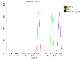 Flow Cytometry analysis of K562 cells using anti-OARD1 antibody. Overlay histogram showing K562 cells stained with (Blue line). To facilitate intracellular staining, cells were fixed with 4% paraformaldehyde and permeabilized with permeabilization buffer. The cells were blocked with 10% normal goat serum. And then incubated with rabbit anti-OARD1 antibody (1 ug/million cells) for 30 min at 20oC. DyLight 488 conjugated goat anti-rabbit IgG (5-10 ug/million cells) was used as secondary antibody for 30 minutes at 20oC. Isotype control antibody (Green line) was rabbit IgG (1 ug/million cells) used under the same conditions. Unlabelled sample without incubation with primary antibody and secondary antibody (Red line) was used as a blank control.
