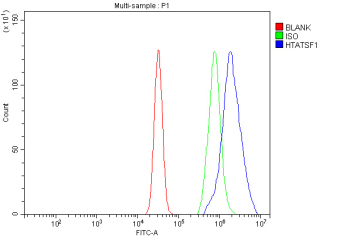 Flow cytometry analysis of fixed and permeabilized human MCF7 cells with HTATSF1 antibody at 1ug/million cells (blocked with goat sera); Red=cells alone, Green=isotype control, Blue= HTATSF1 antibody.