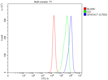 Flow Cytometry analysis of PC-3 cells using anti-SPATA17 antibody. Overlay histogram showing PC-3 cells stained with (Blue line). To facilitate intracellular staining, cells were fixed with 4% paraformaldehyde and permeabilized with permeabilization buffer. The cells were blocked with 10% normal goat serum. And then incubated with rabbit anti-SPATA17 antibody (1 ug/million cells) for 30 min at 20oC. DyLight 488 conjugated goat anti-rabbit IgG (5-10 ug/million cells) was used as secondary antibody for 30 minutes at 20oC. Isotype control antibody (Green line) was rabbit IgG (1 ug/million cells) used under the same conditions. Unlabelled sample without incubation with primary antibody and secondary antibody (Red line) was used as a blank control.