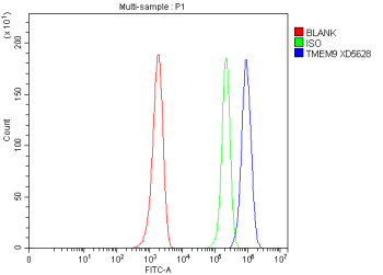 Flow Cytometry analysis of mouse EL-4 cells using anti-TMEM9 antibody. Overlay histogram showing EL-4 cells stained with (Blue line). The cells were fixed with 4% paraformaldehyde and blocked with 10% normal goat serum. And then incubated with rabbit anti-TMEM9 antibody (1 ug/million cells) for 30 min at 20oC. DyLight 488 conjugated goat anti-rabbit IgG (5-10 ug/million cells) was used as secondary antibody for 30 minutes at 20oC. Isotype control antibody (Green line) was rabbit IgG (1 ug/million cells) used under the same conditions. Unlabelled sample without incubation with primary antibody and secondary antibody (Red line) was used as a blank control.