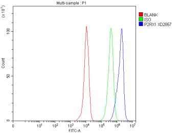 Flow Cytometry analysis of THP-1 cells using anti-P2RX1 antibody. Overlay histogram showing THP-1 cells stained with (Blue line). The cells were fixed with 4% paraformaldehyde and blocked with 10% normal goat serum. And then incubated with rabbit anti-P2RX1 antibody (1 ug/million cells) for 30 min at 20oC. DyLight 488 conjugated goat anti-rabbit IgG (5-10 ug/million cells) was used as secondary antibody for 30 minutes at 20oC. Isotype control antibody (Green line) was rabbit IgG (1 ug/million cells) used under the same conditions. Unlabelled sample without incubation with primary antibody and secondary antibody (Red line) was used as a blank control.
