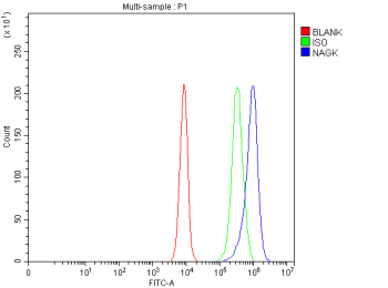 Flow Cytometry analysis of cells using anti-NAGK antibody. Overlay histogram showing cells stained with (Blue line). To facilitate intracellular staining, cells were fixed with 4% paraformaldehyde and permeabilized with permeabilization buffer. The cells were blocked with 10% normal goat serum. And then incubated with rabbit anti-NAGK antibody (1 ug/million cells) for 30 min at 20oC. DyLight 488 conjugated goat anti-rabbit IgG (5-10 ug/million cells) was used as secondary antibody for 30 minutes at 20oC. Isotype control antibody (Green line) was rabbit IgG (1 ug/million cells) used under the same conditions. Unlabelled sample without incubation with primary antibody and secondary antibody (Red line) was used as a blank control.