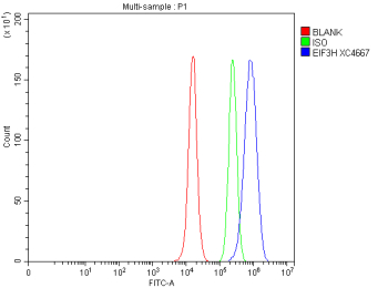 Flow Cytometry analysis of PC-3 cells using anti-EIF3H antibody. Overlay histogram showing PC-3 cells stained with (Blue line). To facilitate intracellular staining, cells were fixed with 4% paraformaldehyde and permeabilized with permeabilization buffer. The cells were blocked with 10% normal goat serum. And then incubated with rabbit anti-EIF3H antibody (1 ug/million cells) for 30 min at 20oC. DyLight 488 conjugated goat anti-rabbit IgG (5-10 ug/million cells) was used as secondary antibody for 30 minutes at 20oC. Isotype control antibody (Green line) was rabbit IgG (1 ug/million cells) used under the same conditions. Unlabelled sample without incubation with primary antibody and secondary antibody (Red line) was used as a blank control.
