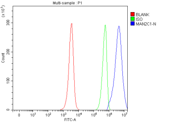 Flow Cytometry analysis of JK cells using anti-MAN2C1 antibody. Overlay histogram showing JK cells stained with (Blue line). To facilitate intracellular staining, cells were fixed with 4% paraformaldehyde and permeabilized with permeabilization buffer. The cells were blocked with 10% normal goat serum. And then incubated with rabbit anti-MAN2C1 antibody (1 ug/million cells) for 30 min at 20oC. DyLight 488 conjugated goat anti-rabbit IgG (5-10 ug/million cells) was used as secondary antibody for 30 minutes at 20oC. Isotype control antibody (Green line) was rabbit IgG (1 ug/million cells) used under the same conditions. Unlabelled sample (Red line) was also used as a control.