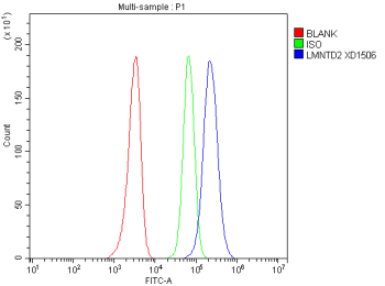 Flow Cytometry analysis of HEL cells using anti-LMNTD2 antibody. Overlay histogram showing HEL cells stained with (Blue line). To facilitate intracellular staining, cells were fixed with 4% paraformaldehyde and permeabilized with permeabilization buffer. The cells were blocked with 10% normal goat serum. And then incubated with rabbit anti-LMNTD2 antibody (1 ug/million cells) for 30 min at 20oC. DyLight 488 conjugated goat anti-rabbit IgG (5-10 ug/million cells) was used as secondary antibody for 30 minutes at 20oC. Isotype control antibody (Green line) was rabbit IgG (1 ug/million cells) used under the same conditions. Unlabelled sample without incubation with primary antibody and secondary antibody (Red line) was used as a blank control.