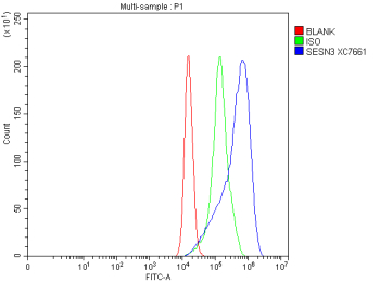 Flow Cytometry analysis of cells using anti-SESN3 antibody. Overlay histogram showing cells stained with (Blue line). To facilitate intracellular staining, cells were fixed with 4% paraformaldehyde and permeabilized with permeabilization buffer. The cells were blocked with 10% normal goat serum. And then incubated with rabbit anti-SESN3 antibody (1 ug/million cells) for 30 min at 20oC. DyLight 488 conjugated goat anti-rabbit IgG (5-10 ug/million cells) was used as secondary antibody for 30 minutes at 20oC. Isotype control antibody (Green line) was rabbit IgG (1 ug/million cells) used under the same conditions. Unlabelled sample without incubation with primary antibody and secondary antibody (Red line) was used as a blank control.