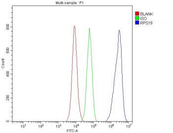 Flow Cytometry analysis of 293T cells using anti-RPS19 antibody. Overlay histogram showing 293T cells stained with (Blue line). To facilitate intracellular staining, cells were fixed with 4% paraformaldehyde and permeabilized with permeabilization buffer. The cells were blocked with 10% normal goat serum. And then incubated with rabbit anti-RPS19 antibody (1 ug/million cells) for 30 min at 20oC. DyLight 488 conjugated goat anti-rabbit IgG (5-10 ug/million cells) was used as secondary antibody for 30 minutes at 20oC. Isotype control antibody (Green line) was rabbit IgG (1 ug/million cells) used under the same conditions. Unlabelled sample without incubation with primary antibody and secondary antibody (Red line) was used as a blank control.
