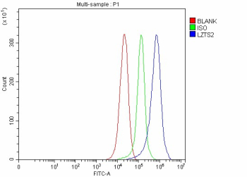 Flow Cytometry analysis of Hela cells using anti-LZTS2 antibody. Overlay histogram showing Hela cells stained with (Blue line). To facilitate intracellular staining, cells were fixed with 4% paraformaldehyde and permeabilized with permeabilization buffer. The cells were blocked with 10% normal goat serum. And then incubated with rabbit anti-LZTS2 antibody (1 ug/million cells) for 30 min at 20oC. DyLight 488 conjugated goat anti-rabbit IgG (5-10 ug/million cells) was used as secondary antibody for 30 minutes at 20oC. Isotype control antibody (Green line) was rabbit IgG (1 ug/million cells) used under the same conditions. Unlabelled sample without incubation with primary antibody and secondary antibody (Red line) was used as a blank control.