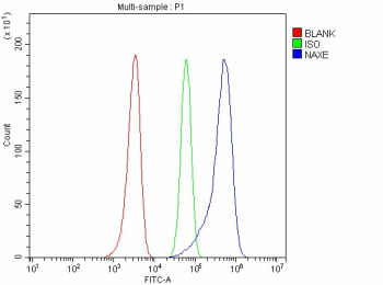 Flow Cytometry analysis of HEL cells using anti-NAXE antibody. Overlay histogram showing HEL cells stained with (Blue line). The cells were fixed with 4% paraformaldehyde and blocked with 10% normal goat serum. And then incubated with rabbit anti-NAXE antibody (1 ug/million cells) for 30 min at 20oC. DyLight 488 conjugated goat anti-rabbit IgG (5-10 ug/million cells) was used as secondary antibody for 30 minutes at 20oC. Isotype control antibody (Green line) was rabbit IgG (1 ug/million cells) used under the same conditions. Unlabelled sample without incubation with primary antibody and secondary antibody (Red line) was used as a blank control.